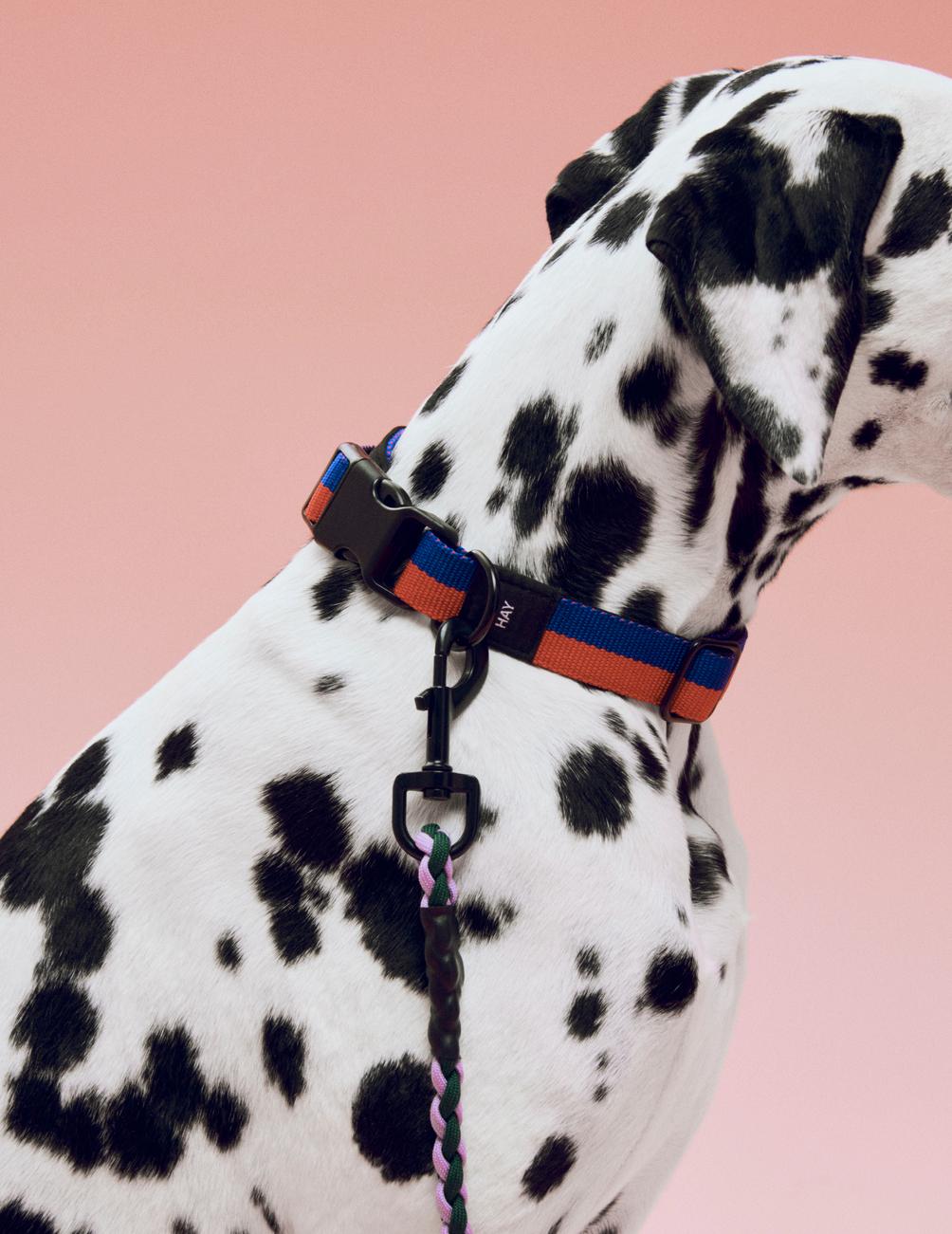 HAY Dogs Leash Braided – HAY BERLIN