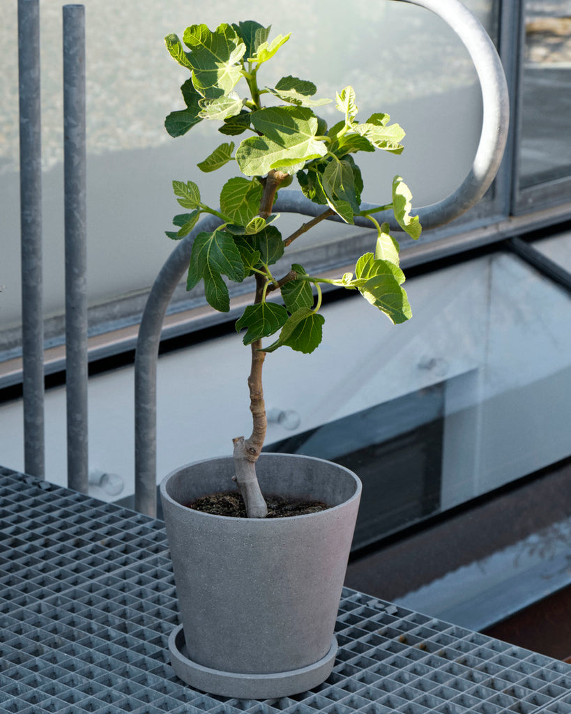 hay botanical plant pot Flowerpot with Saucer – HAY BERLIN