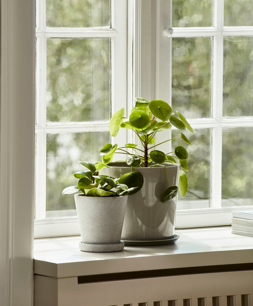 hay xxl plant pot Flowerpot with Saucer – HAY BERLIN